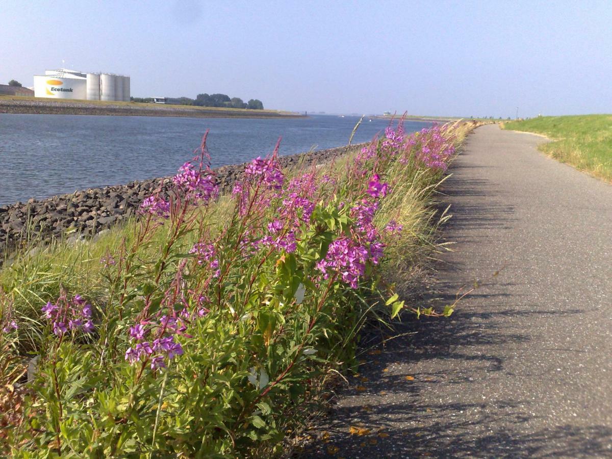 Middensluis 7 Villa เวเมลดิงเงอ ภายนอก รูปภาพ
